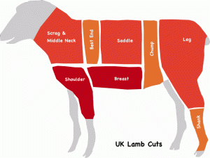 lamb-cuts1